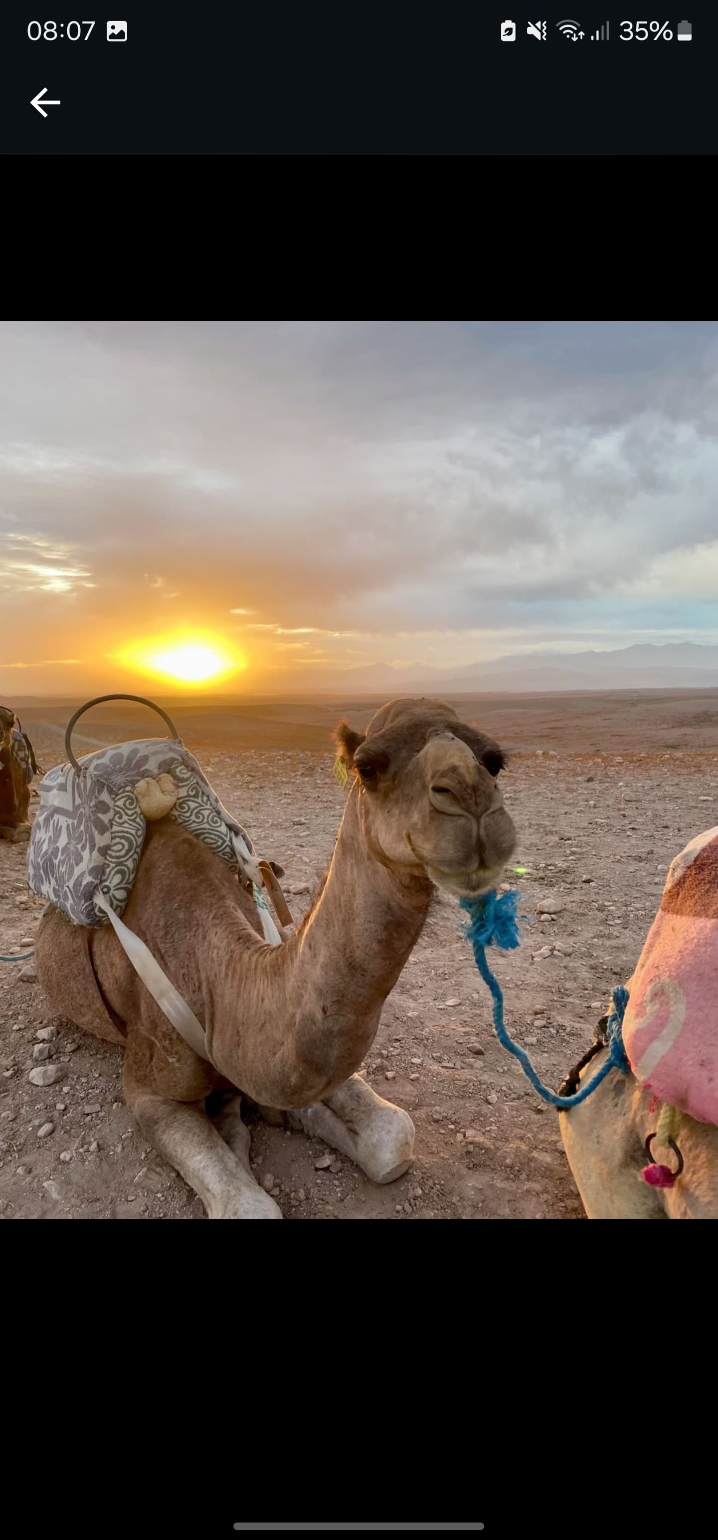 WhatsApp Image 2025-03-21 à 22.41.38_d7ddae61.jpg